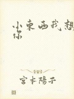 小东西我想弄坏你