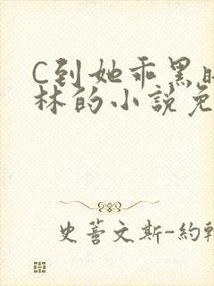 C到她乖黑暗森林的小说免费封面