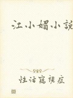 江小媚小说封面