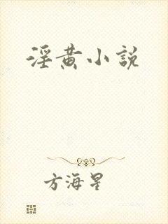 淫黄小说