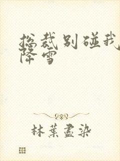 总裁别碰我 韩降雪封面