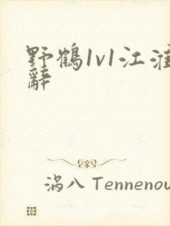 野鹤1v1江淮辞封面