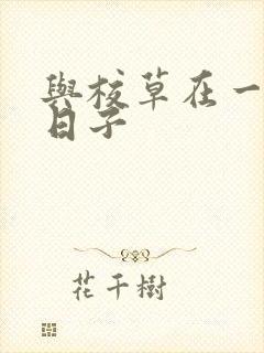 与校草在一起的日子