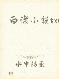 白洁小说txt