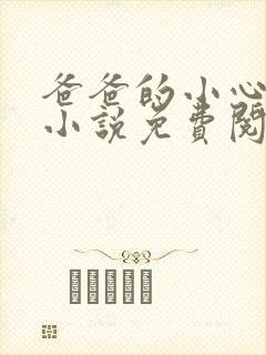 爸爸的小心肝儿小说免费阅读