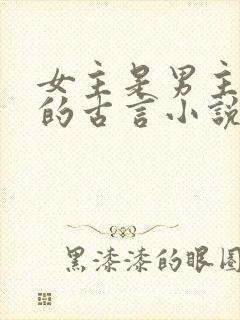 女主是男主皇姐的古言小说