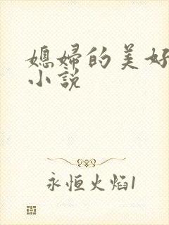 媳妇的美好时代小说