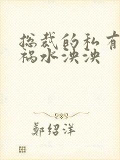 总裁的私有宝贝祸水泱泱封面