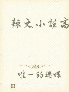 辣文小说高h