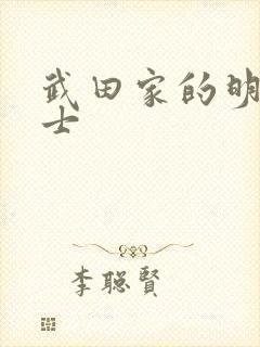 武田家的明国武士封面