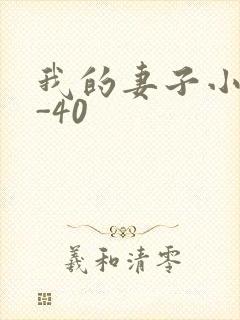 我的妻子小谨1-40封面