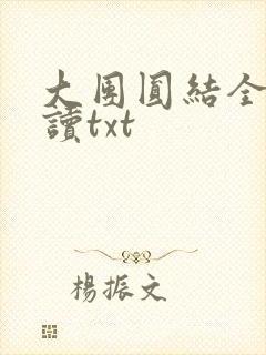 大团圆结全文阅读txt