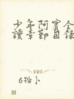 少年阿宾全文阅读章节目录