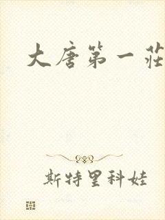 大唐第一庄
