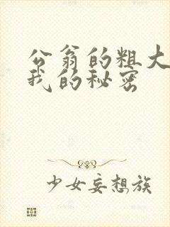 公翁的粗大放进我的秘密