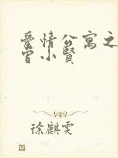 爱情公寓之极品曾小贤