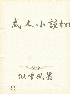 成人小说txt封面