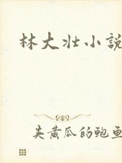 林大壮小说阅读