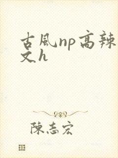 古风np高辣爽文h
