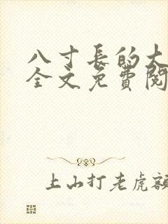 八寸长的大宝贝全文免费阅读