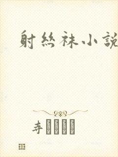 射丝袜小说封面