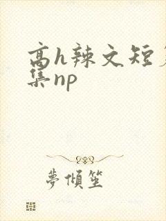 高h辣文短篇合集np