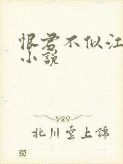 恨君不似江楼月小说