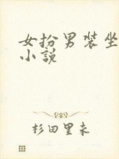 女扮男装坐江山小说