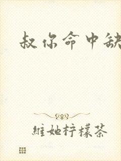 叔你命中缺我封面