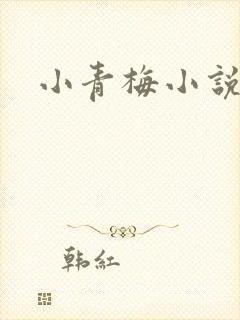 小青梅小说