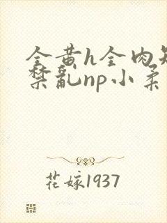 全黄h全肉短篇禁乱np小柔