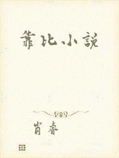 靠比小说封面