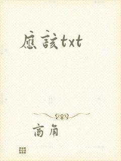 应该txt