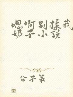 嗯啊别揉我的大奶子小说