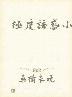 极度诱惑小说封面