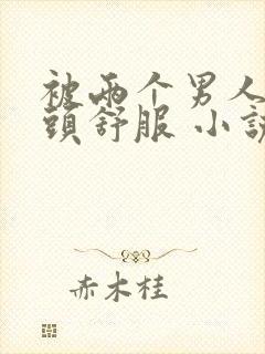 被两个男人捏奶头舒服 小说封面