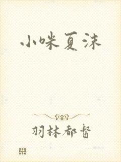 小咪夏沫封面