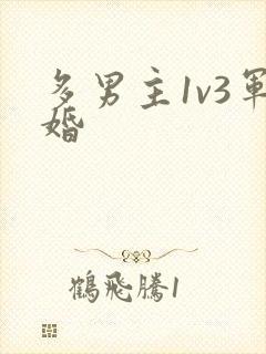 多男主1v3军婚