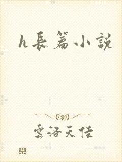 h长篇小说