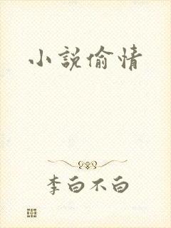 小说偷情封面