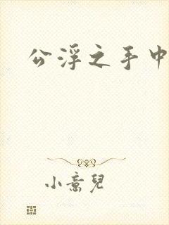 公浮之手中字5封面