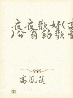 夜夜欢好(高h)公翁的欢爱