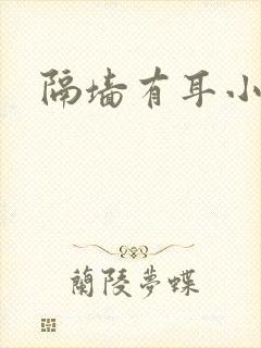 隔墙有耳小说封面