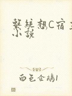 系统想C宿主的小说封面