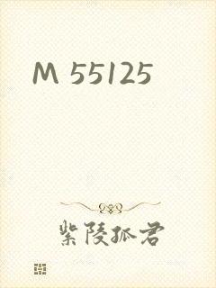 M 55125封面