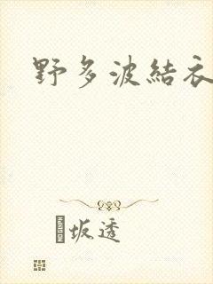 野多波结衣封面
