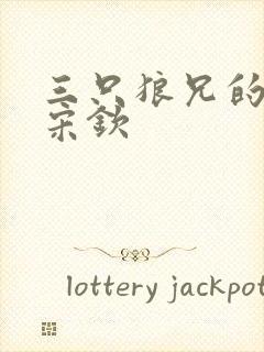 三只狼兄的宠妻宋钦封面