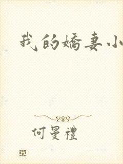 我的娇妻小说