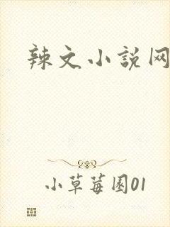 辣文小说网