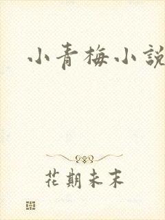小青梅小说封面